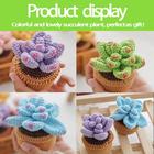 fecloud crochet knitting kit for beginners - 3pcs succulents