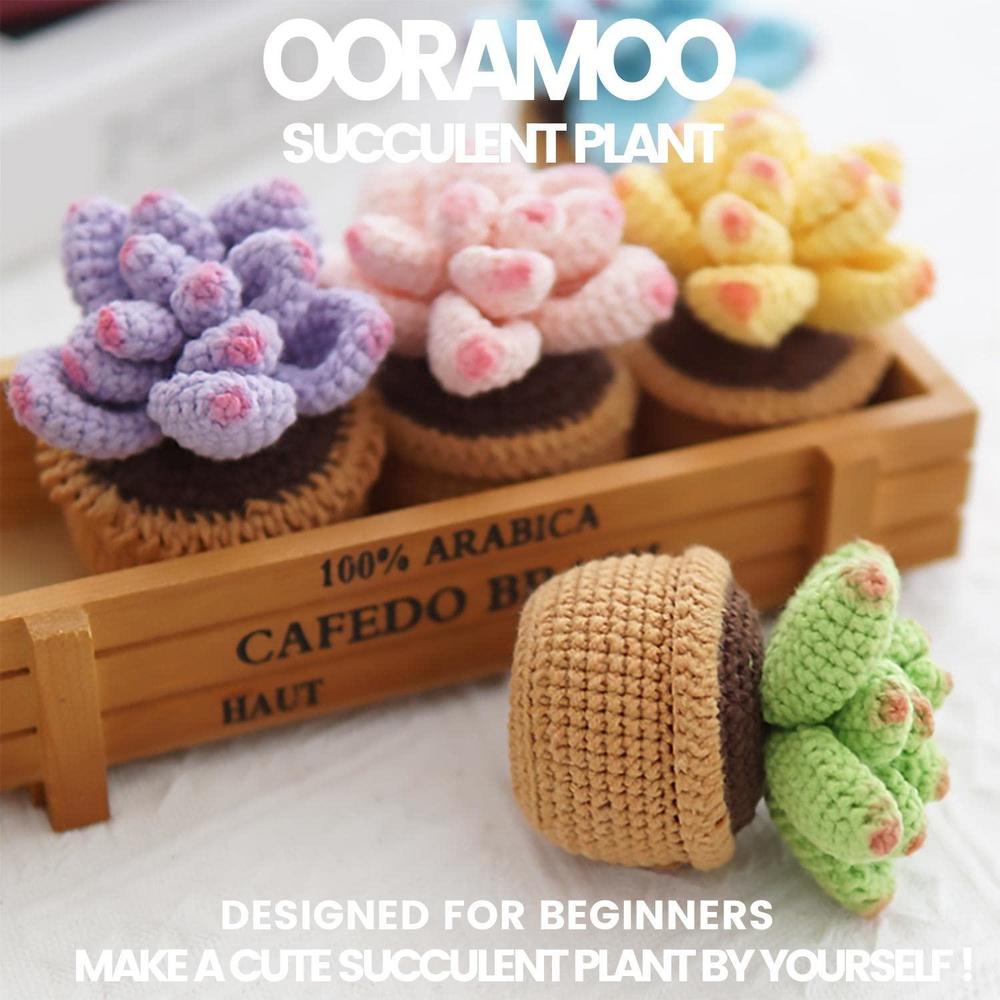 Baiyou crochet kit for beginners - 4pcs succulents, beginner crochet starter kit for complete beginners adults, crocheting knitting 