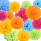 Livder livder paper flowers bright colorful tissue paper pom poms for party  birthday wedding christmas festive decorations, 15 piece