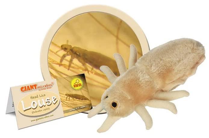 giant microbes louse plush - learn about lice and how to treat them, fun educational gift for family, friends doctors, nurses