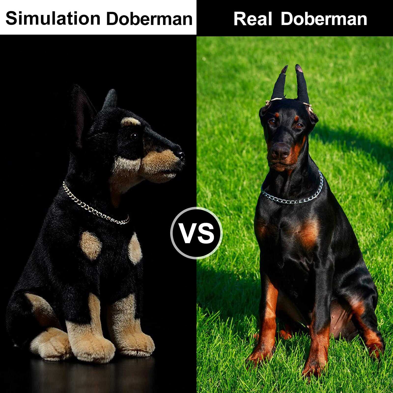 ZHONGXIN Made Simulation Doberman Stuffed Animal Puppy Dog - 12 inch Plush Toy, Best Plush Toys for Girls & Boys As Gift