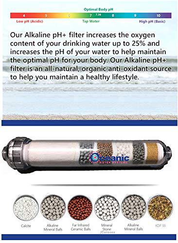 Premier 6 stage- alkaline antioxidant | kdf | mineral ph balancing ionizer drinking water filter inline | 2.5"x 12"