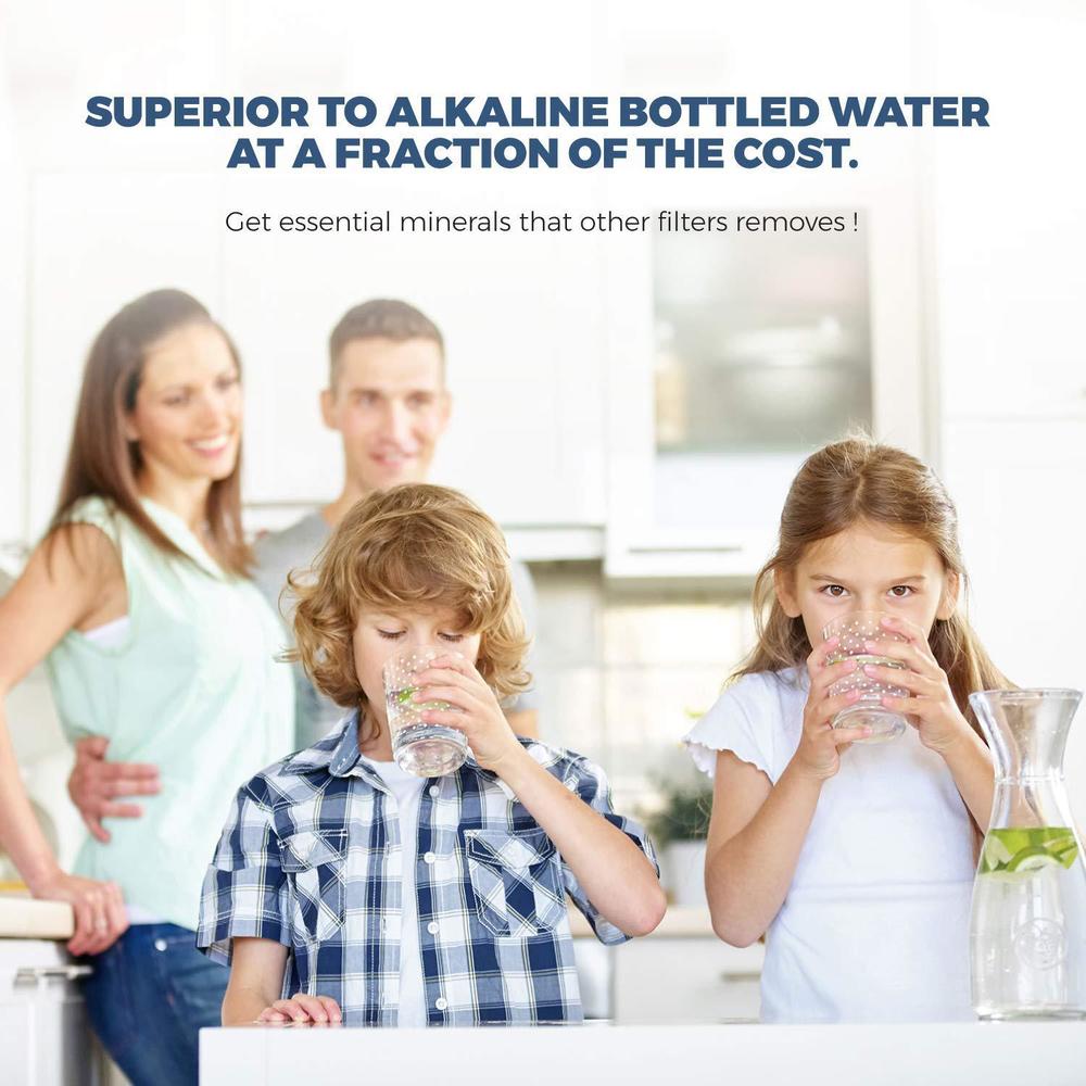 Premier 6 stage- alkaline antioxidant | kdf | mineral ph balancing ionizer drinking water filter inline | 2.5"x 12"