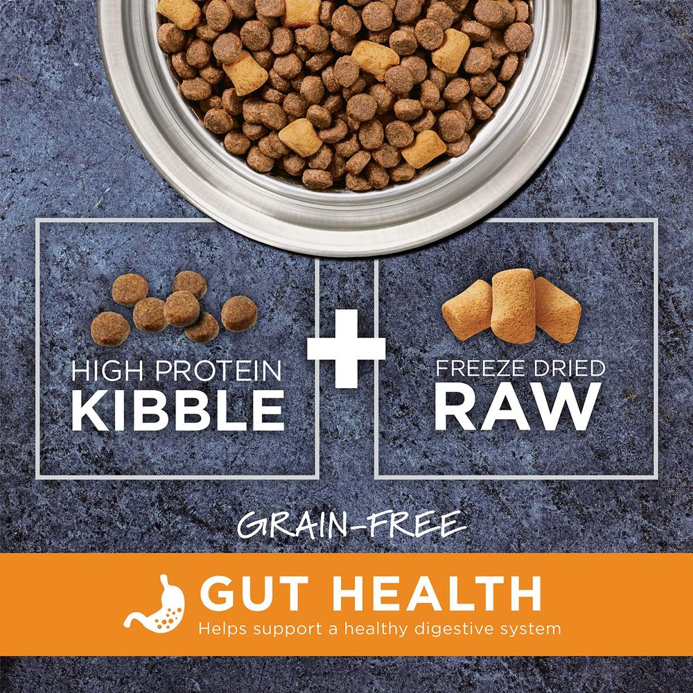 instinct raw boost gut health grain free recipe with real chicken natural dry dog food by nature's variety, 4 lb. bag