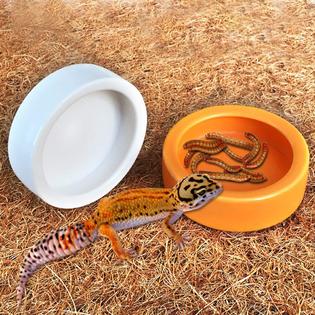 WYJTPONE 3pcs reptile feeding tongs long tweezers cricket clamp bug scooper  and 2pcs reptile food bowl