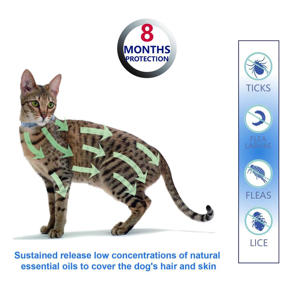 fipukin natural & safe flea and tick collar for cats, 8 months protection, waterproof, 13.8 inch, one size fits all, free com