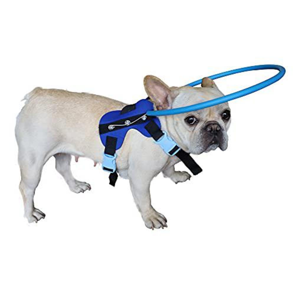 hqslc blind dog harness guiding device,blind dog halo,pet anti-collision ring for protective&build confidence,blind dog acces