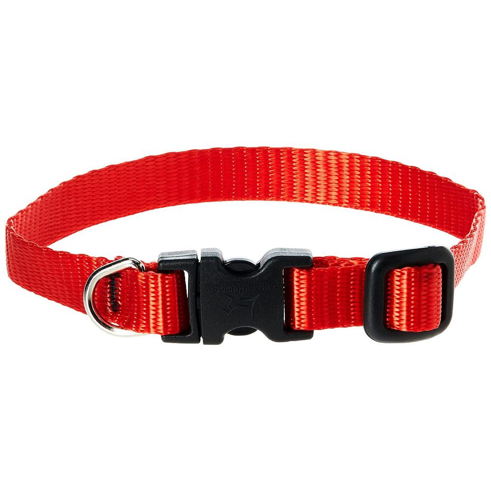 lupinepet basics 1/2" red 8-12" adjustable collar for small dogs