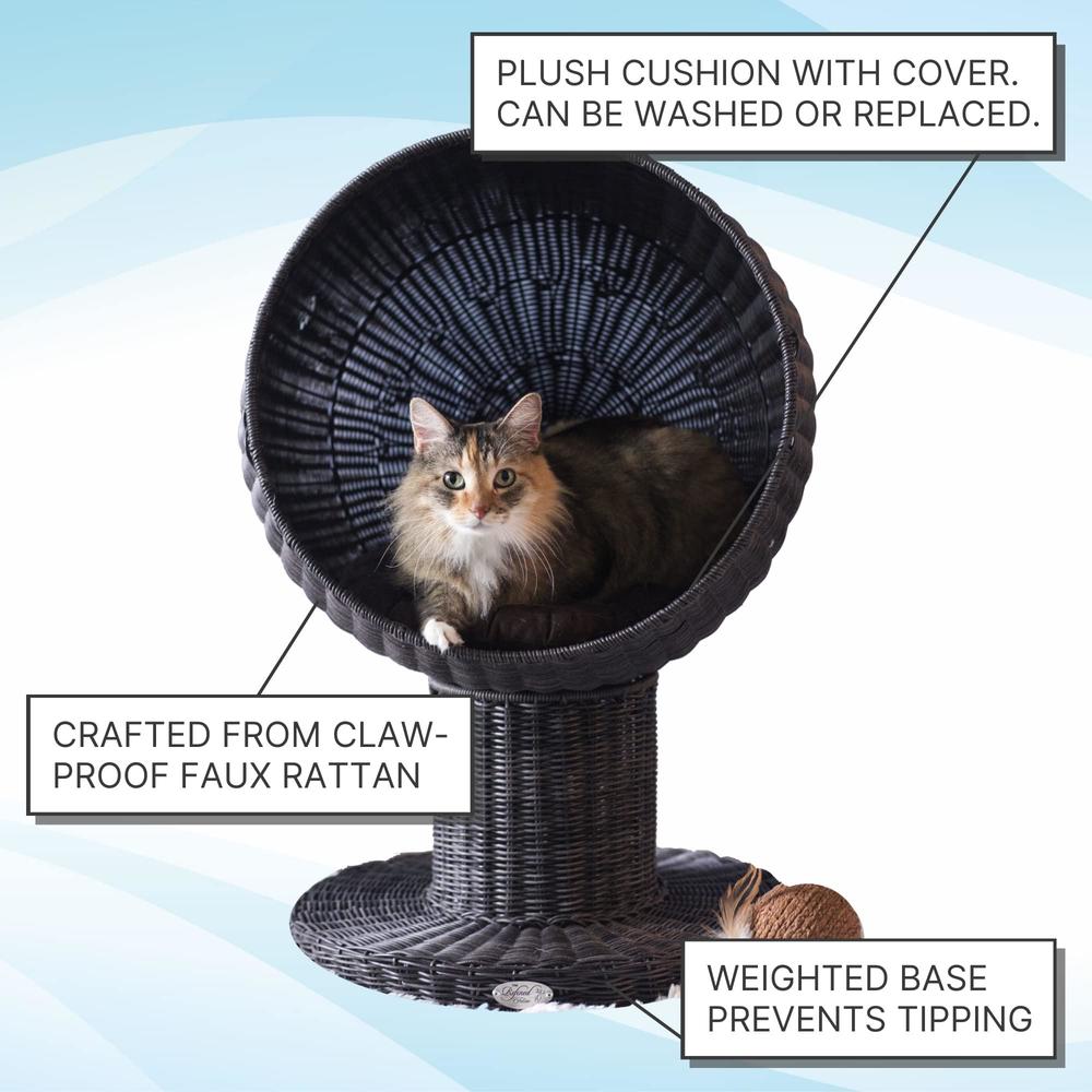 Best Material Calypso Everlastng Cat Scratcher Cat Scratcher