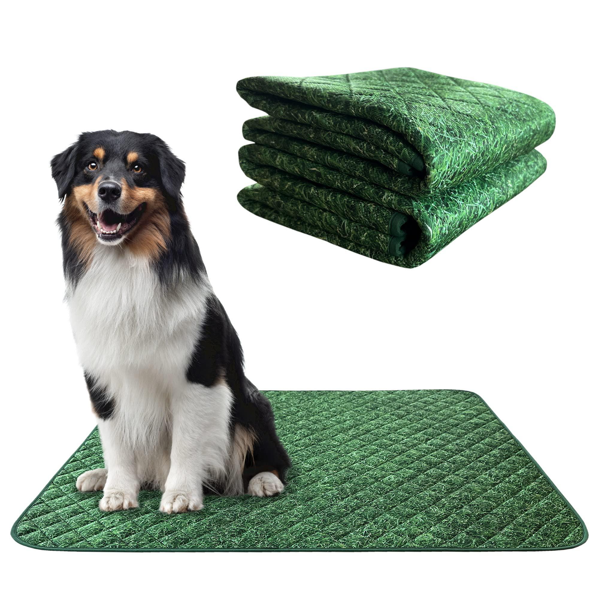 paw-lyfe pawlyfe dog pee pads, reusable puppy pads, pet training pads,  large dog pee pad, waterproof pet pads for dog bed mat, whelpin