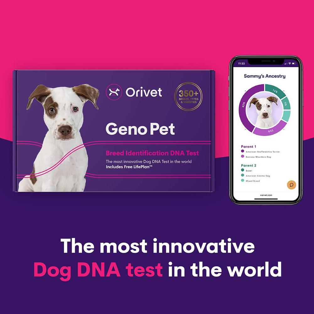 orivet genopet dog dna test | dog breed test kit, genetic testing, heritable health risks and life plan