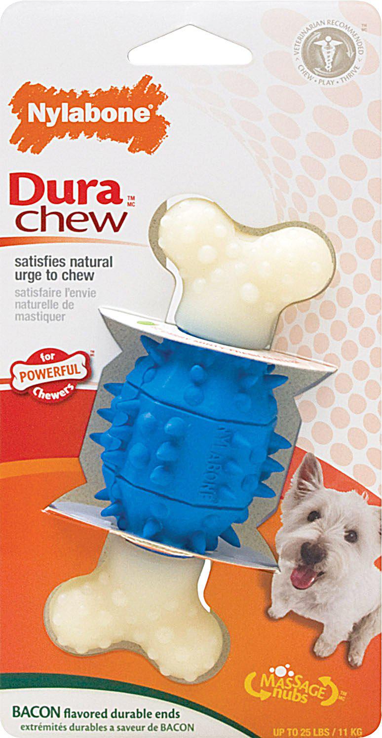 nylabone dura chew regular bacon flavored double action dental spiky bone dog chew toy
