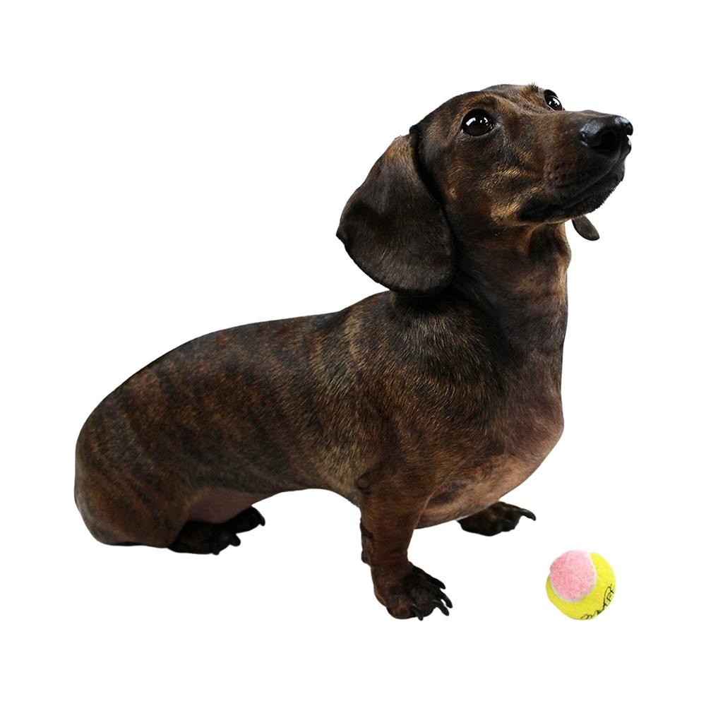 midlee x-small dog tennis balls 1.5" pack of 12- puppy mini fetch pet little tennis balls -yellow/pink