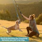 Meieke meieke flirt pole toy for dogs, pet teaser wand outdoor