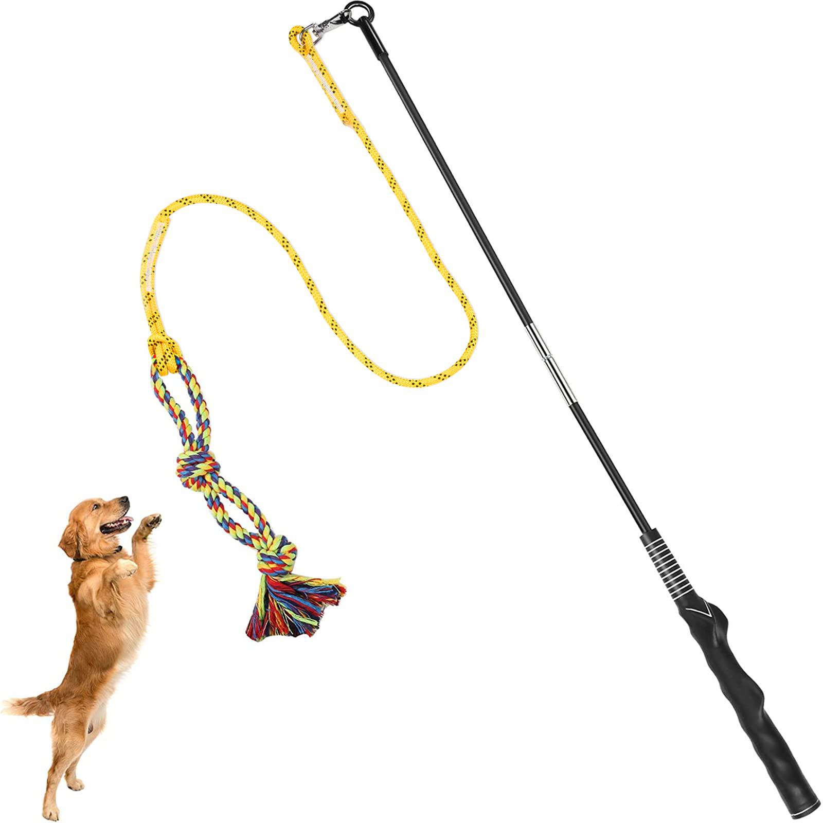 DIBBATU dibbatu flirt pole for dogs, interactive dog toys for large medium small  dogs chase and tug of war, dog teaser wand with lure