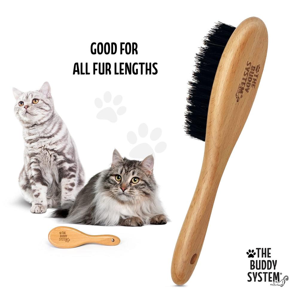 Stunning Reduce Shedding Cat Brush For Abyssinian Cats image