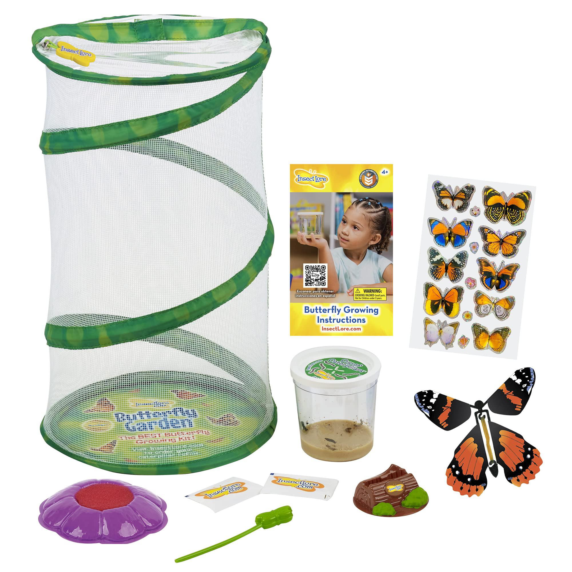 Insect Lore butterfly mini garden gift set with live cup of caterpillars - life science & stem education - best birthday gift, for boys &