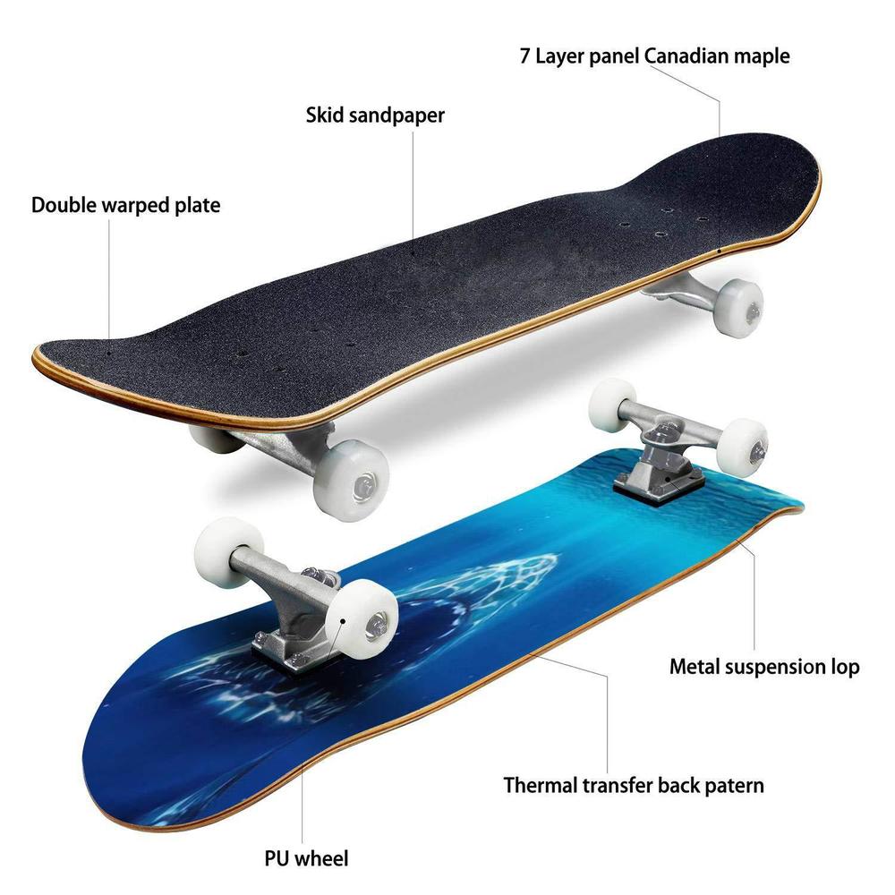 Mulluspa classic concave skateboard 3d rendered illustration of a great white shark longboard maple deck extreme sports and outdoors d