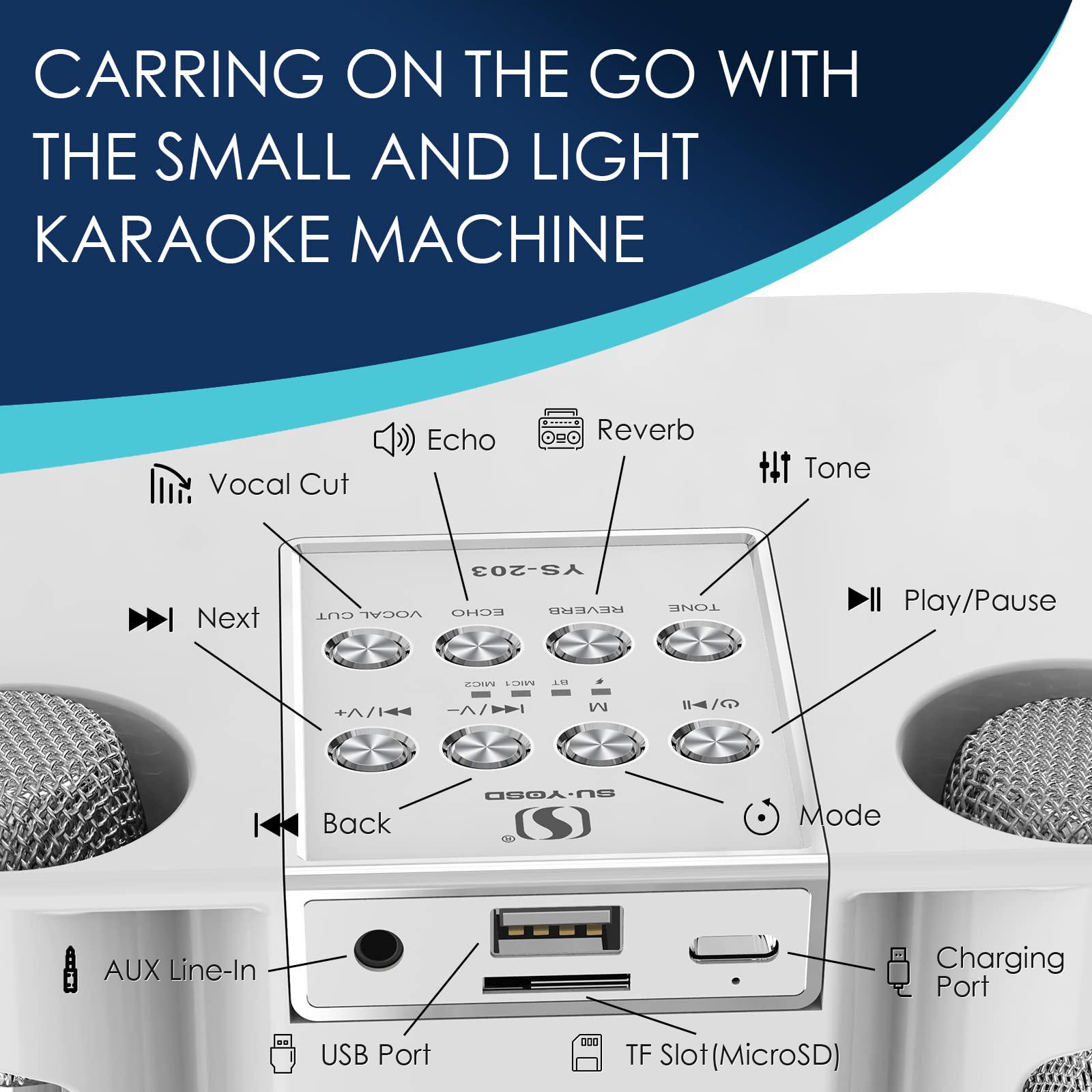 flyasny karaoke machine for adults and kids, portable bluetooth karaoke speaker with 2 wireless microphones for tv, singing k