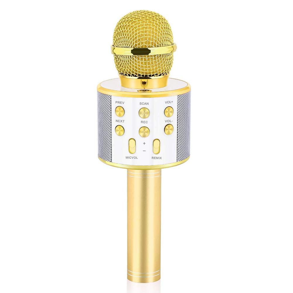 dodosky gifts for 4 5 6 7 8 9 10 11 12 year old girls, handheld karaoke microphone for kids fun toys for 4-13 year old girls 