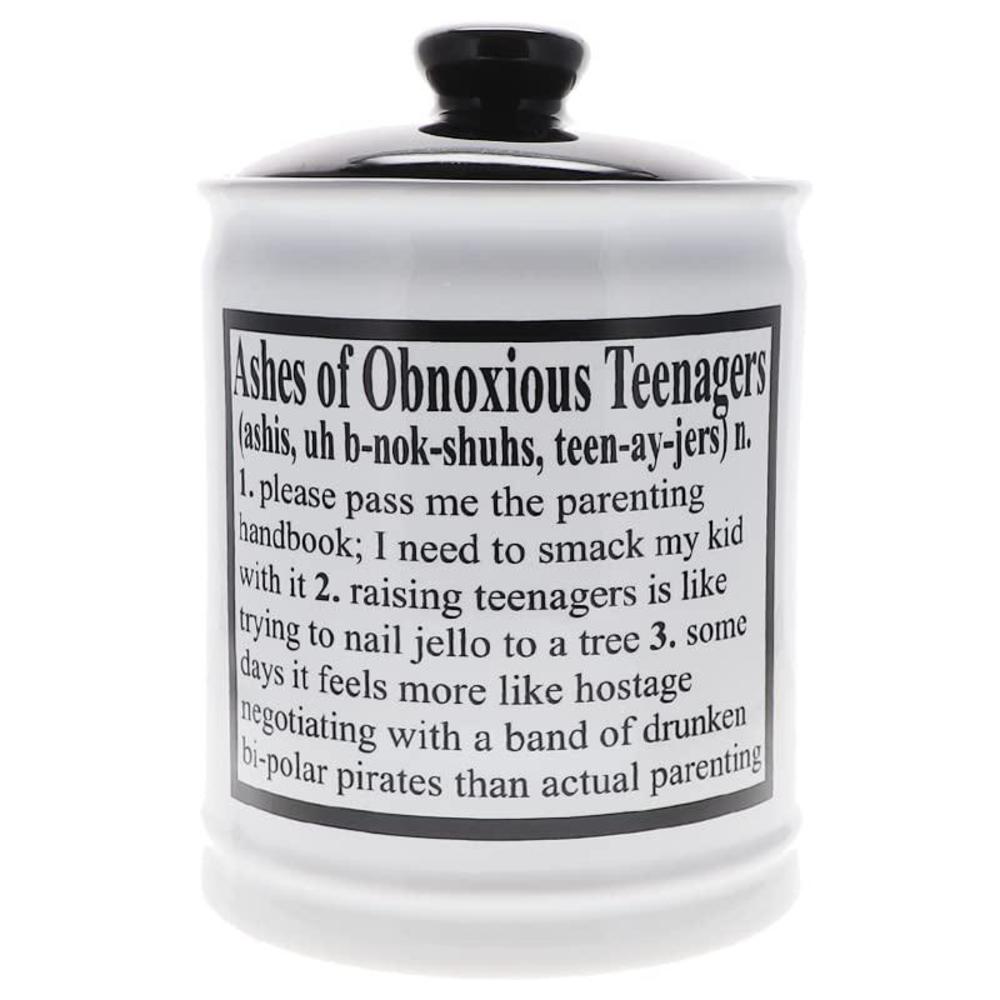 cottage creek ashes of obnoxious teenagers piggy bank, ceramic funny candy jar, mom gifts, dad gifts