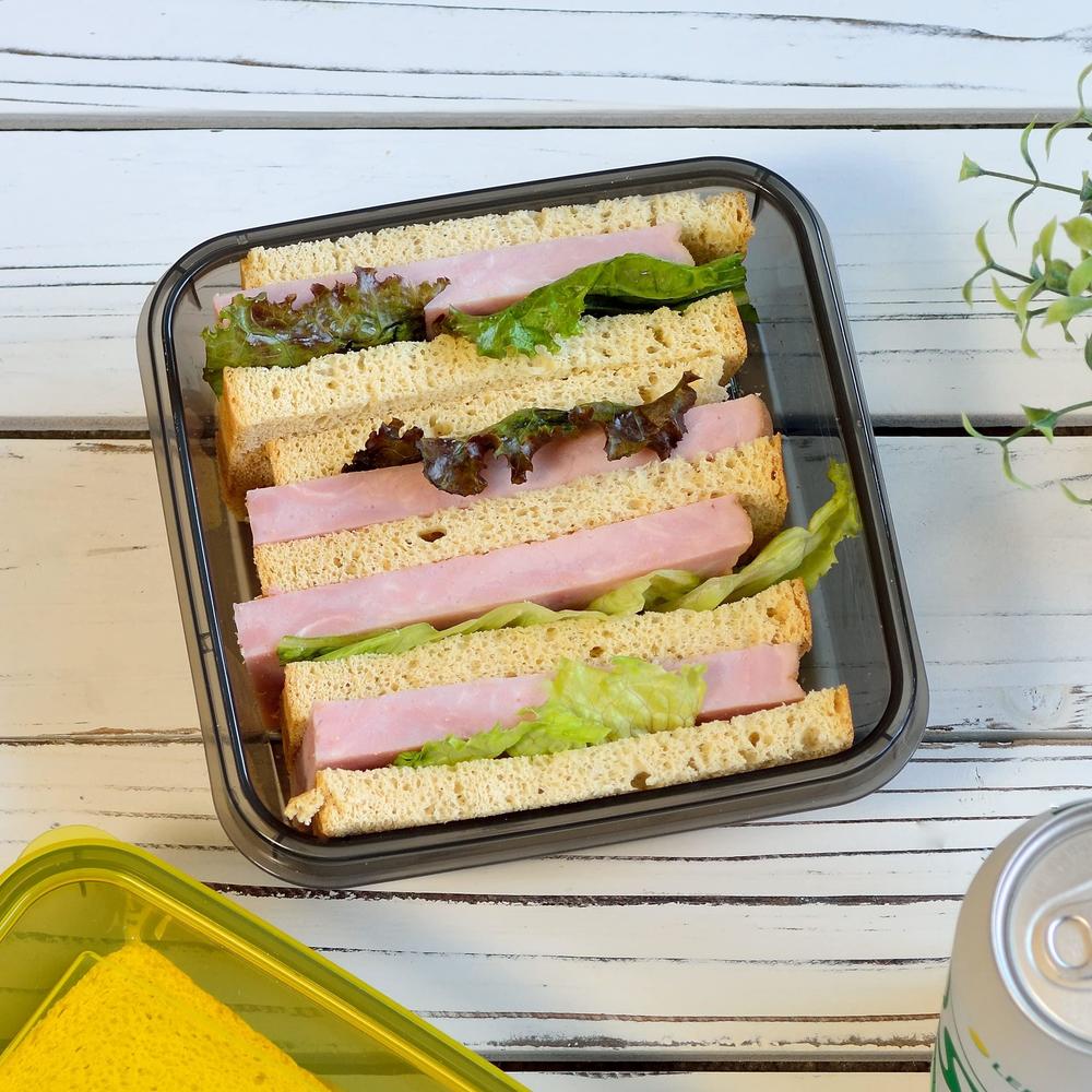 Container Sandwich Rectangular youngever 3 pack sandwich containers for lunch box, reusable food ...
