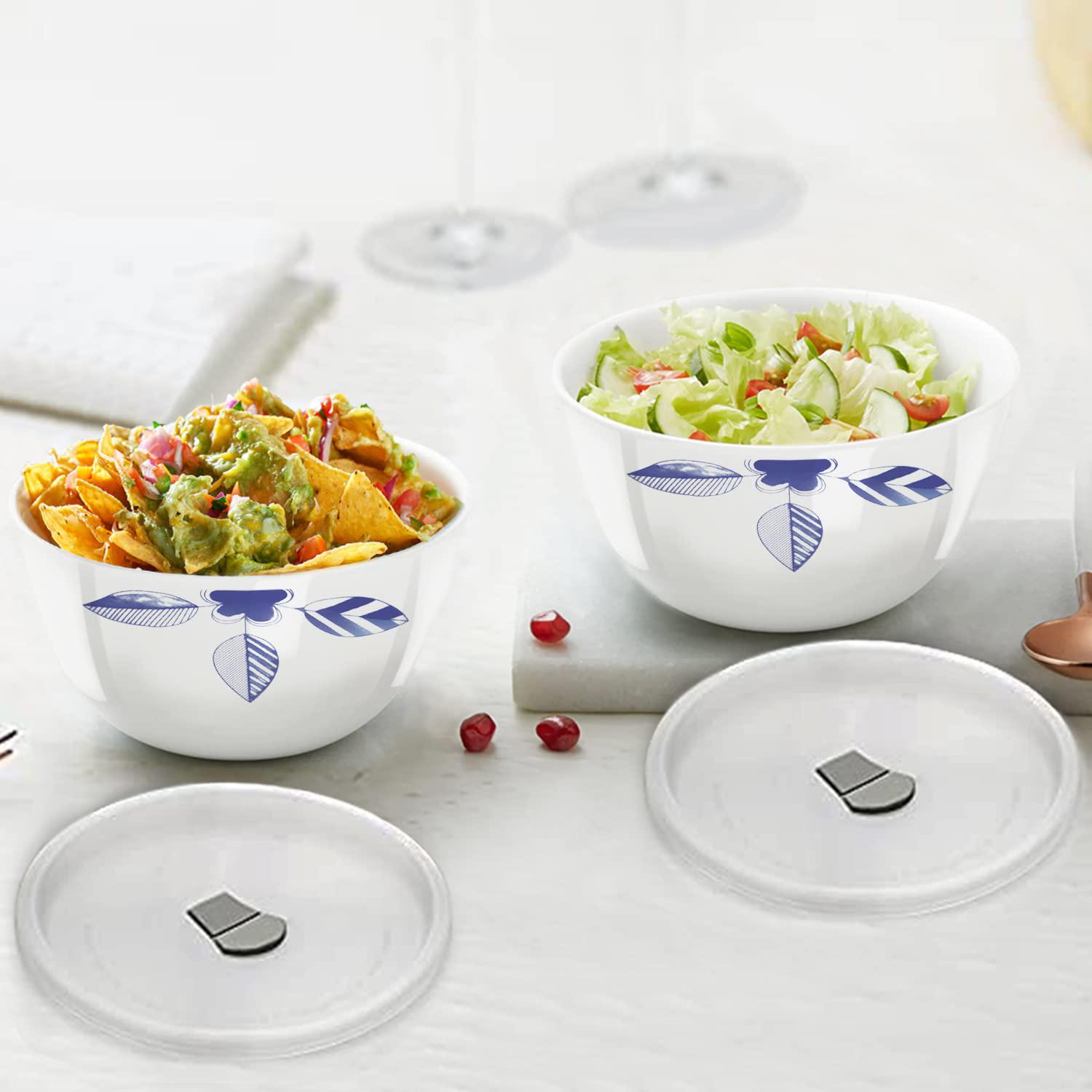 Larah by BOROSIL borosil serving bowls for entertaining, set of 2, 24 oz,  lightweight ceramic bowls