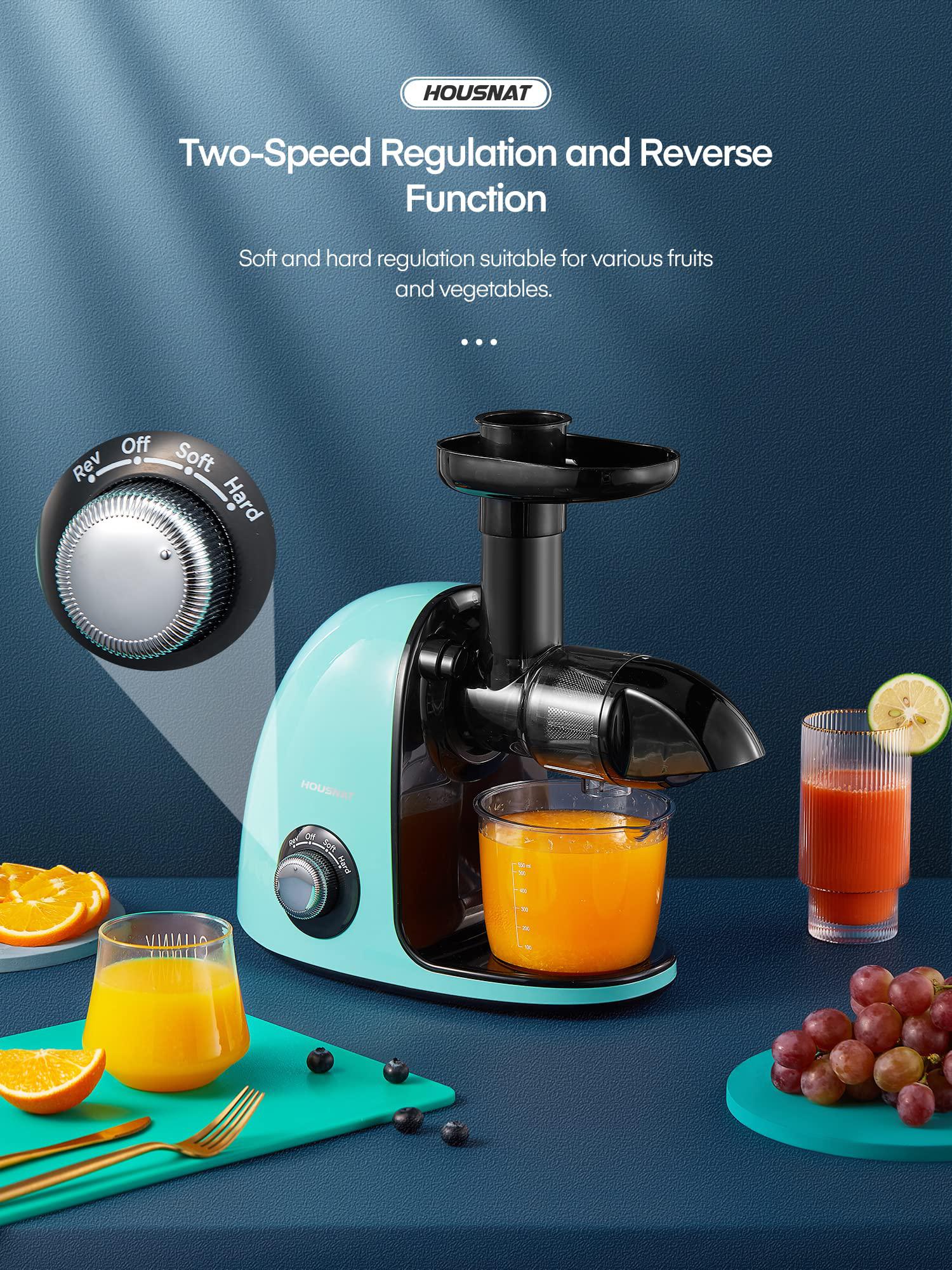 HOUSNAT juicer machines vegetable and fruit, housnat cold press juicer extractor with 2-speed modes easy to clean, slow masticating j