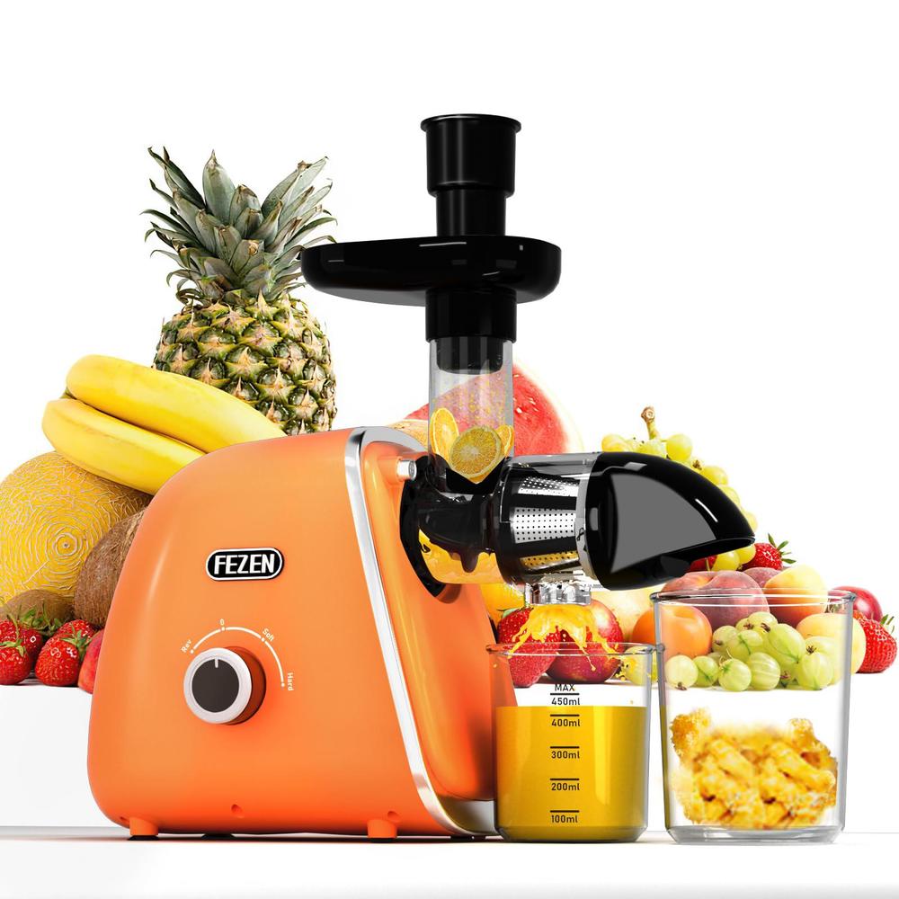 Fezen cold press juicer, fezen juicer machines vegetable and fruit masticating juicer high juice yield/two modes/quiet motor with r