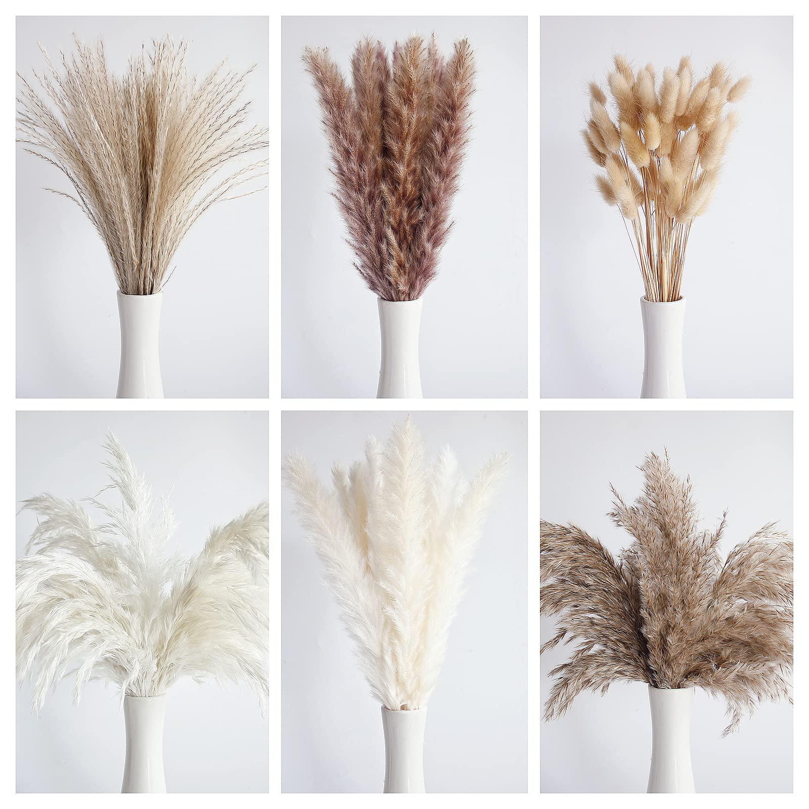 Bannifll 110 pcs dried pampas grass bouquet, boho table decor, bunny tails dried flowers, brown pompas, white pampas grass for wedding