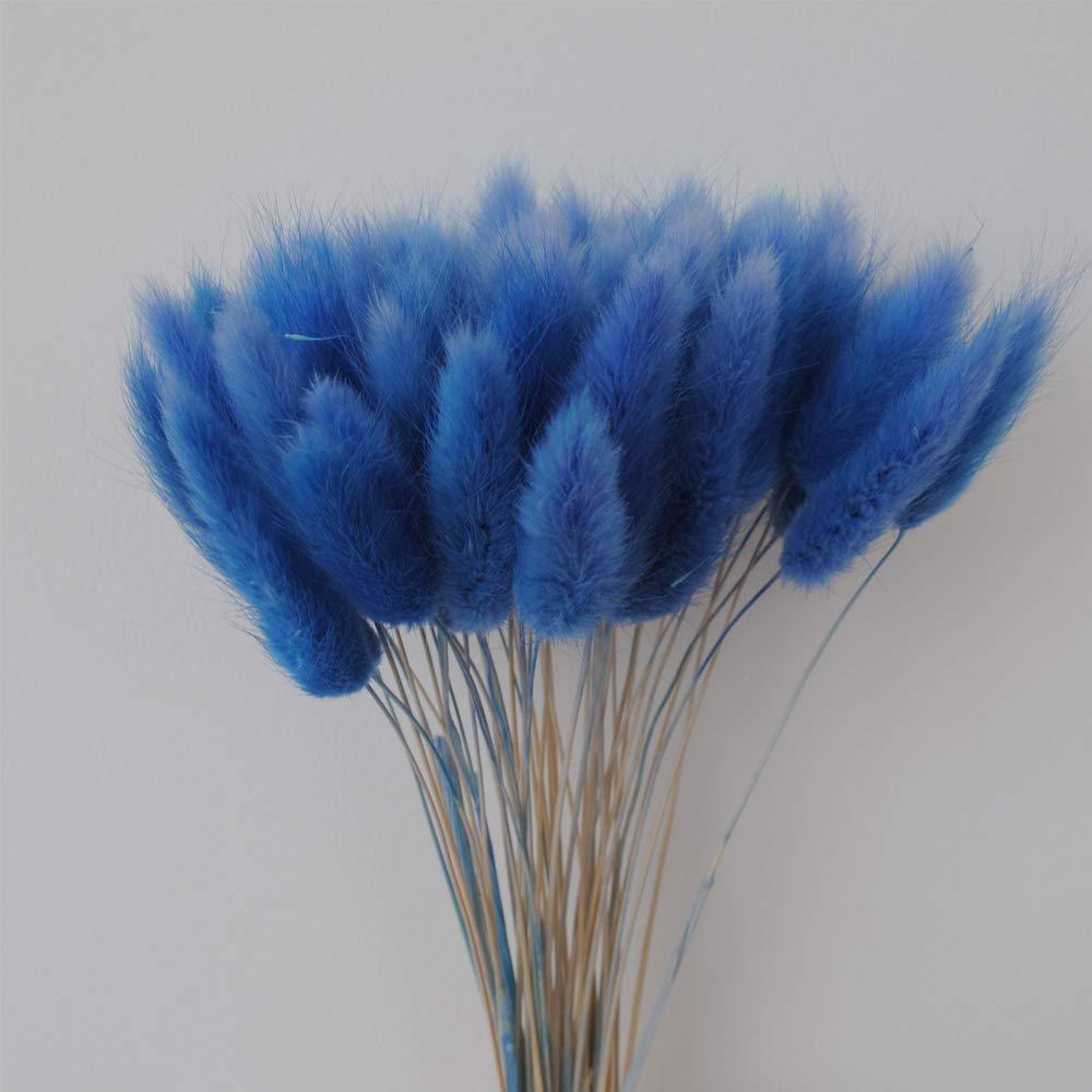 Life In Color color life 110-120 pcs dried natural flowers decoration, dried rabbit tail grass flowers,dried pampas grass, used for home, w
