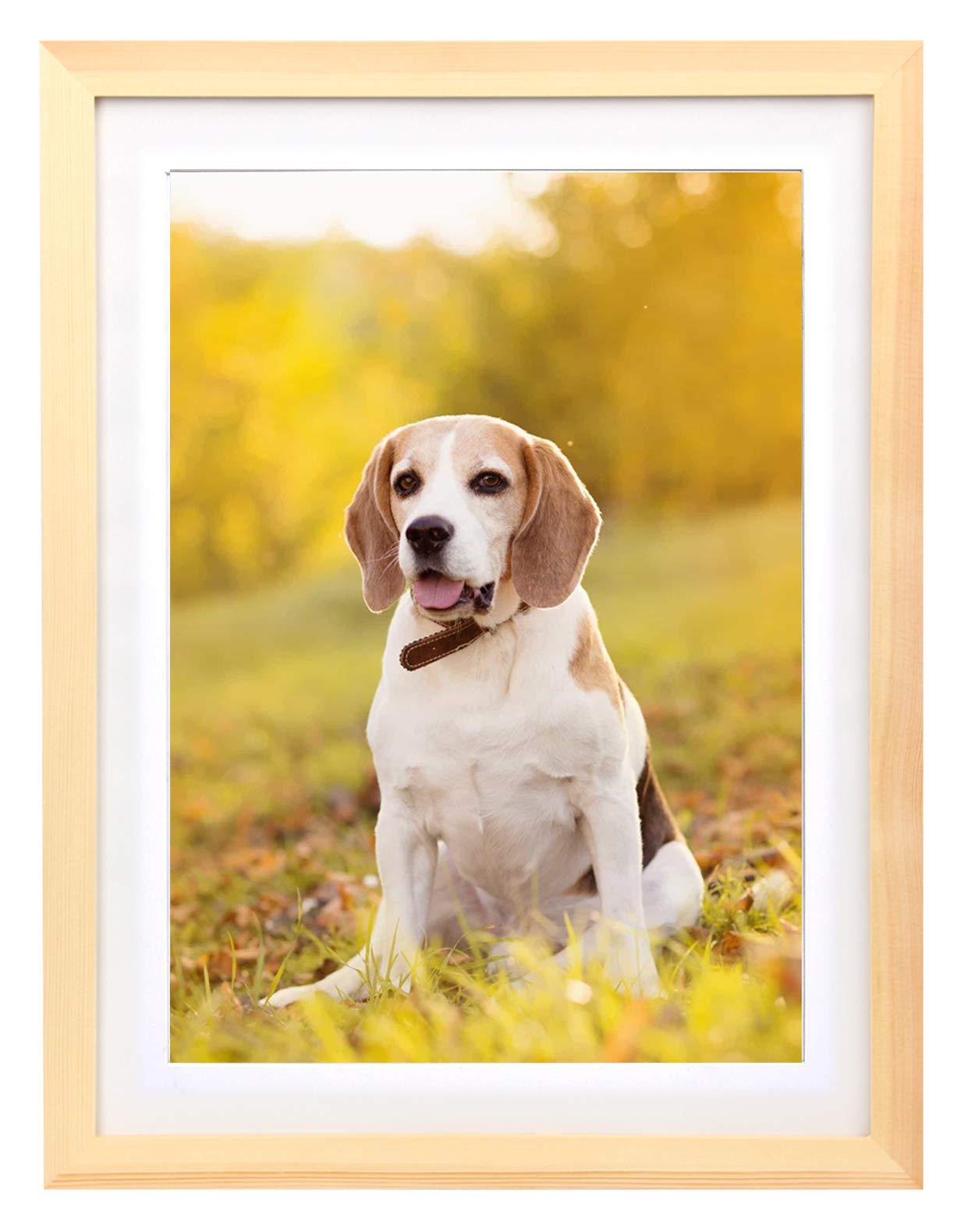 ioostar 12x16 diamond painting picture frame ?display pictures 10 x 14  inch/25x35 cm with mat or 12 x 16 inch/30x40 cm withou