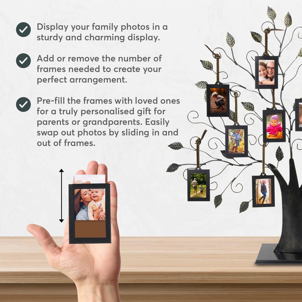 maypes family tree photo frame family tree picture frame with 10 hanging picture frames wall decor brushed bronze photo frame