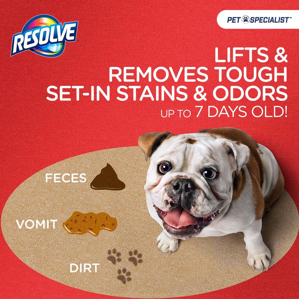 resolve pet specialist easy clean brushing kit includes heavy traffic foam carpet cleaner, 22oz
