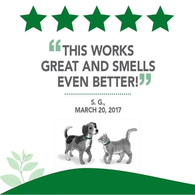 Vet S Best Vet S Best Flea And Tick Yard And Kennel Spray 32 Oz Usa Made Vet S Best Vet S Best Flea And Tick Yard And Kennel Spray 32 Oz Usa Made