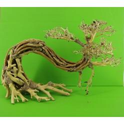 Aquarium Decor On Sale Sears