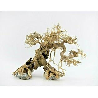 Bonsai Driftwood Aquarium Driftwood Bonsai Tree Quince Aquascape Fish Planted Freshwater Z3 B3 46