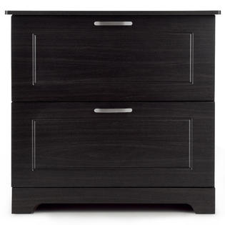 Costway 2 Drawer Lateral File Cabinet W Adjustable Pole For Legal