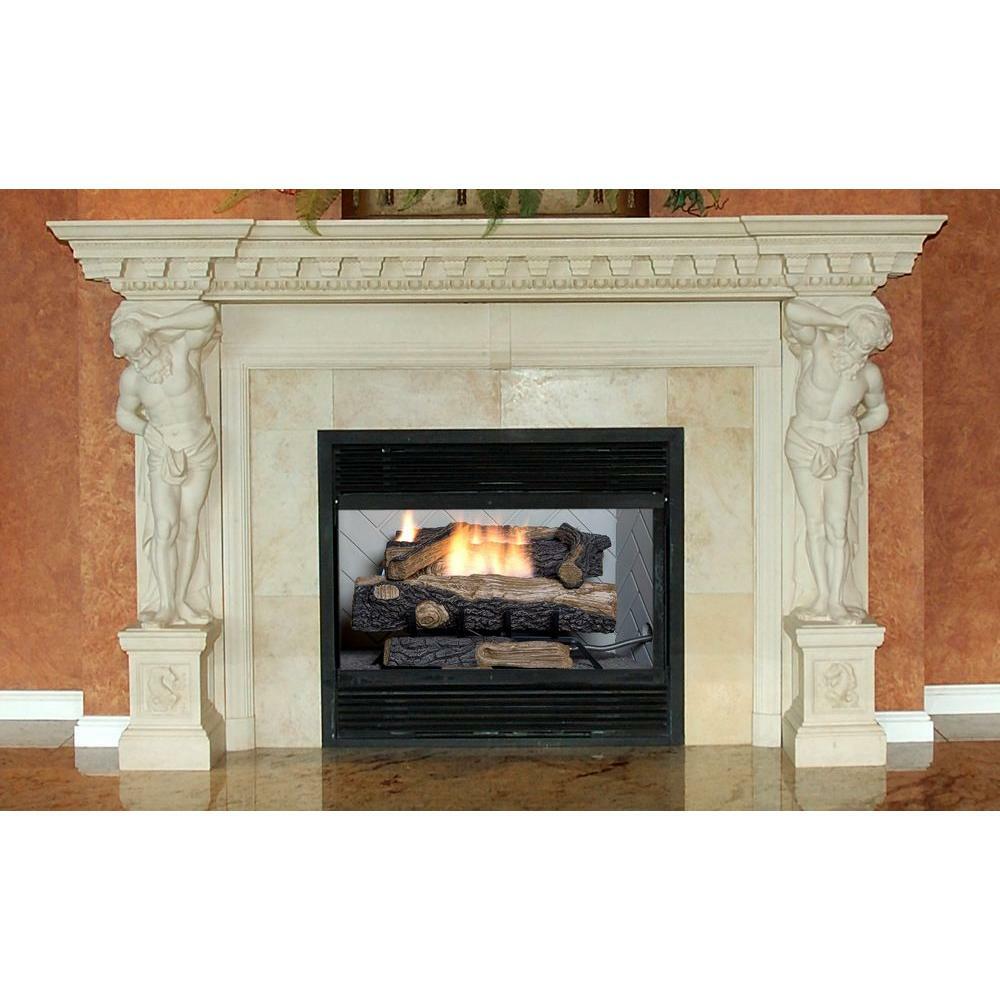 Emberglow Oakwood 24 In Vent Free Propane Gas Fireplace Logs