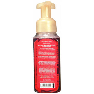 Bath Body Works Set Of 2 Bath And Body Works Winter Candy Apple Foaming Hand Soaps Red