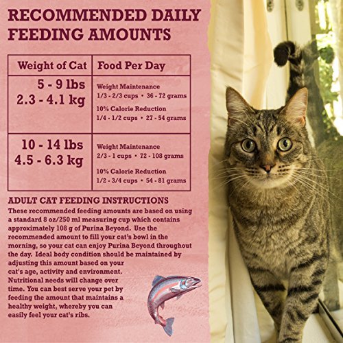 Purina Beyond Grain Free Indoor Salmon Egg Sweet Potato Recipe