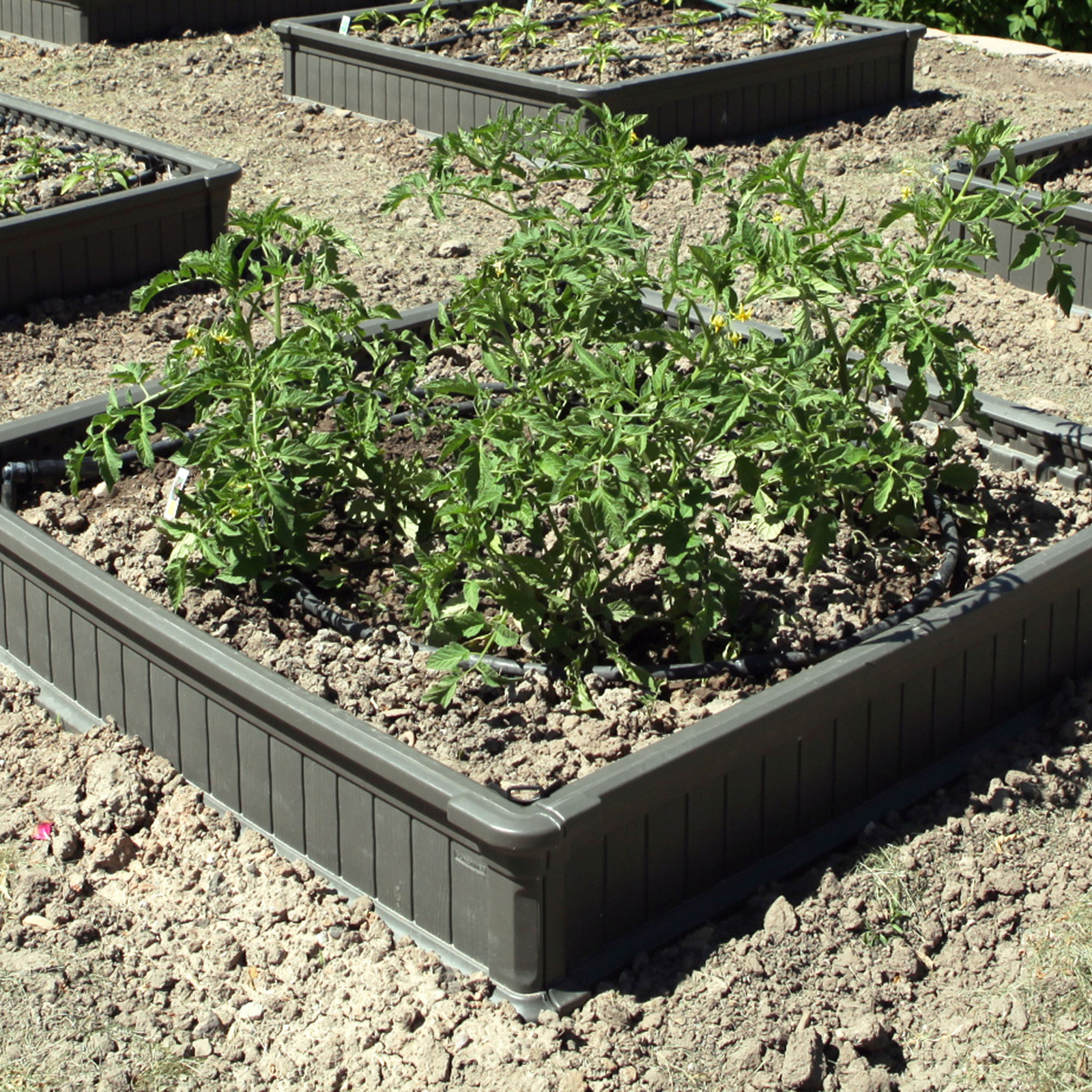 Lifetime 4 Ft X 4 Ft Raised Garden Bed Brown 60065