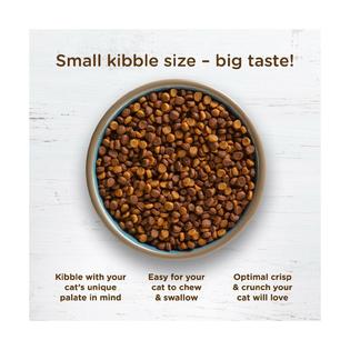 Rachael Ray Nutrish Rachael Ray Nutrish Super Food Blend Dry Cat