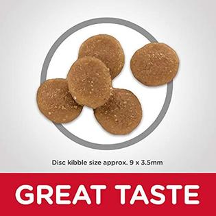 Hills Science Diet Hill 39s Science Diet Dry Cat Food Adult Sensitive Stomach Skin Chicken