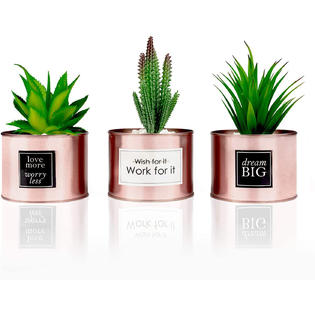 Fortivo Office Decor For Women Desk Rose Gold Decor Desk Plant For Bookshelf Decor Boh Fortivo Office Decor For Women Desk Rose Gold Decor Desk Plant For Bookshelf Decor Boh