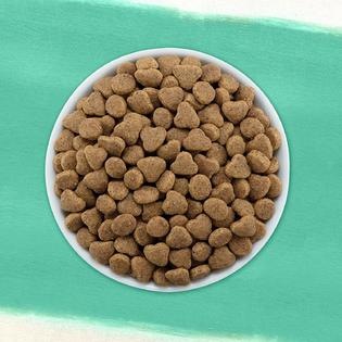 Purina Beyond Grain Free Natural Dry Cat Food Ocean Whitefish Egg 11 Lb