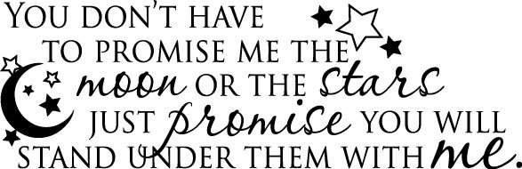 Holbert Designs You Don T Promise Me Moon Stars Vinyl Wall Decal Quote Sticker Inspirational