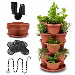 Chia Terra Cotta Herb Garden Kit