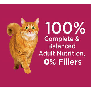 Iams Proactive Health Adult Urinary Tract Health Dry Cat Food With Chicken 3 5
