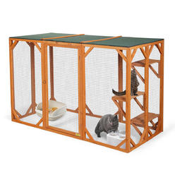 Cat Outdoor Enclosures